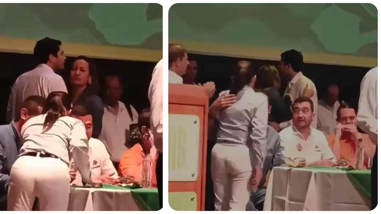La pareja es el senador de la Alianza Verde, Fabián Díaz.