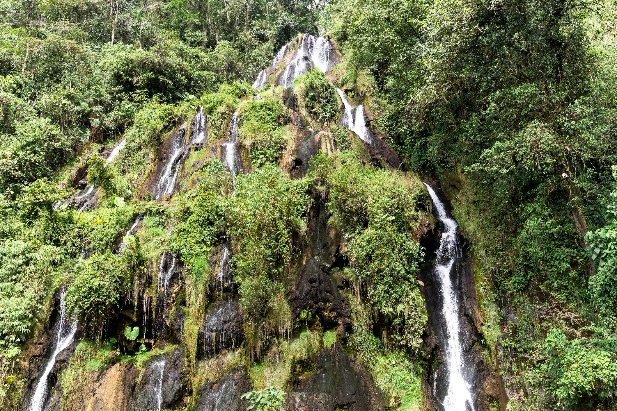 Cascadas en Santa Rosa de Cabal