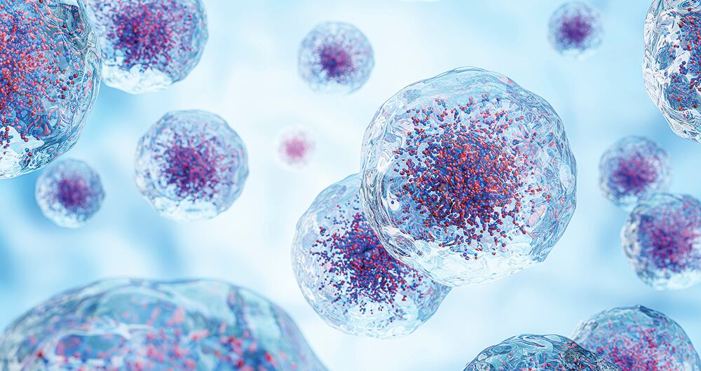 En cada capítulo del el libro "el pus de los milagros", el lector podrá percibir el paralelo entre la epidemia de viruela de 1802 y la del covid-19.