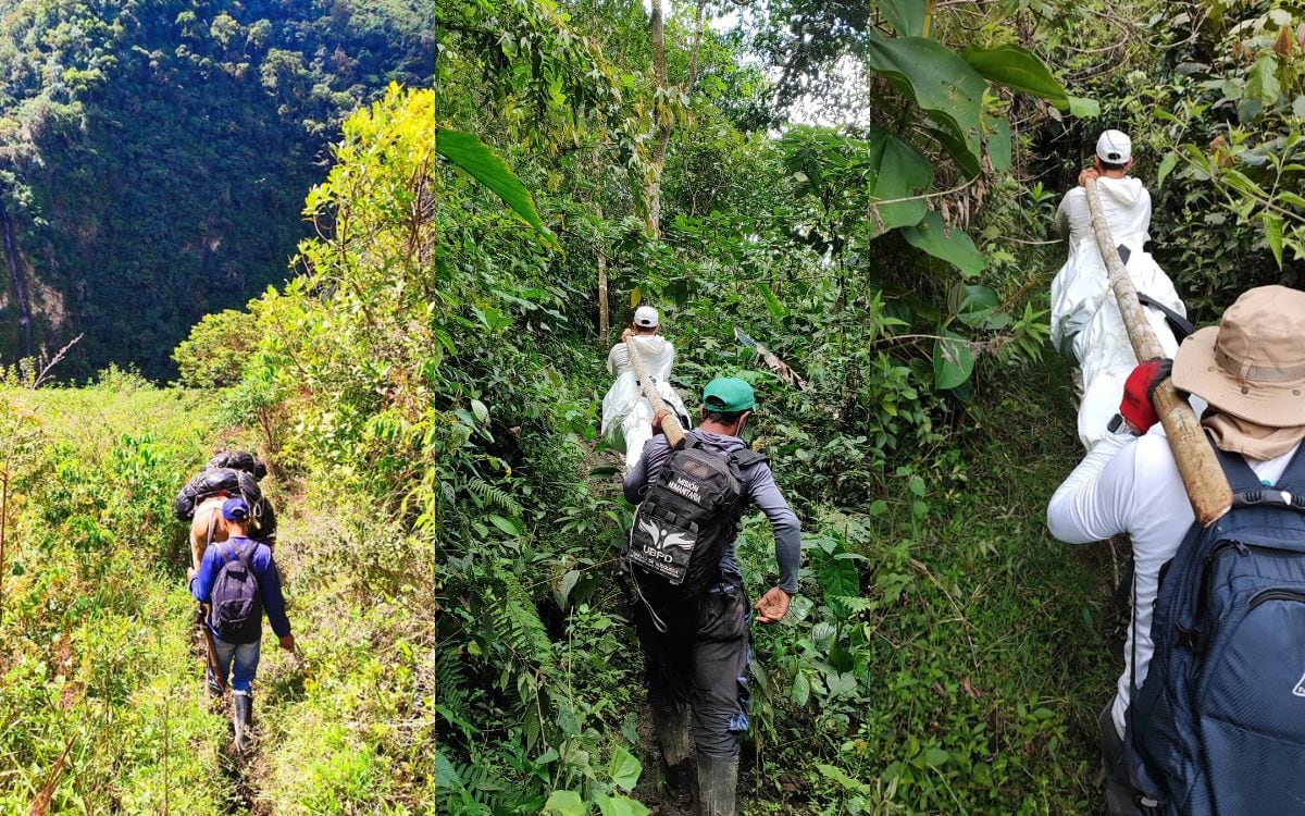 Unidad de Búsqueda de Personas Dadas por Desaparecidas en labores en el parque Gloria Valencia de Castaño, en Tolima, donde hallaron cinco cuerpos.