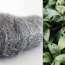 Las esponjas de acero pueden ayudar a mantener en perfectas condiciones tus plantas