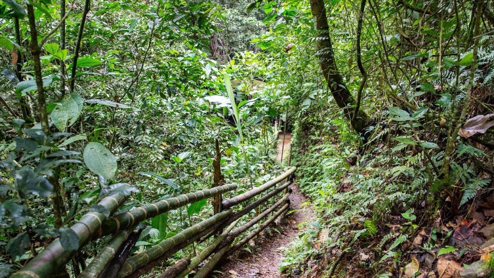 Sitios turísticos cerca a Cali