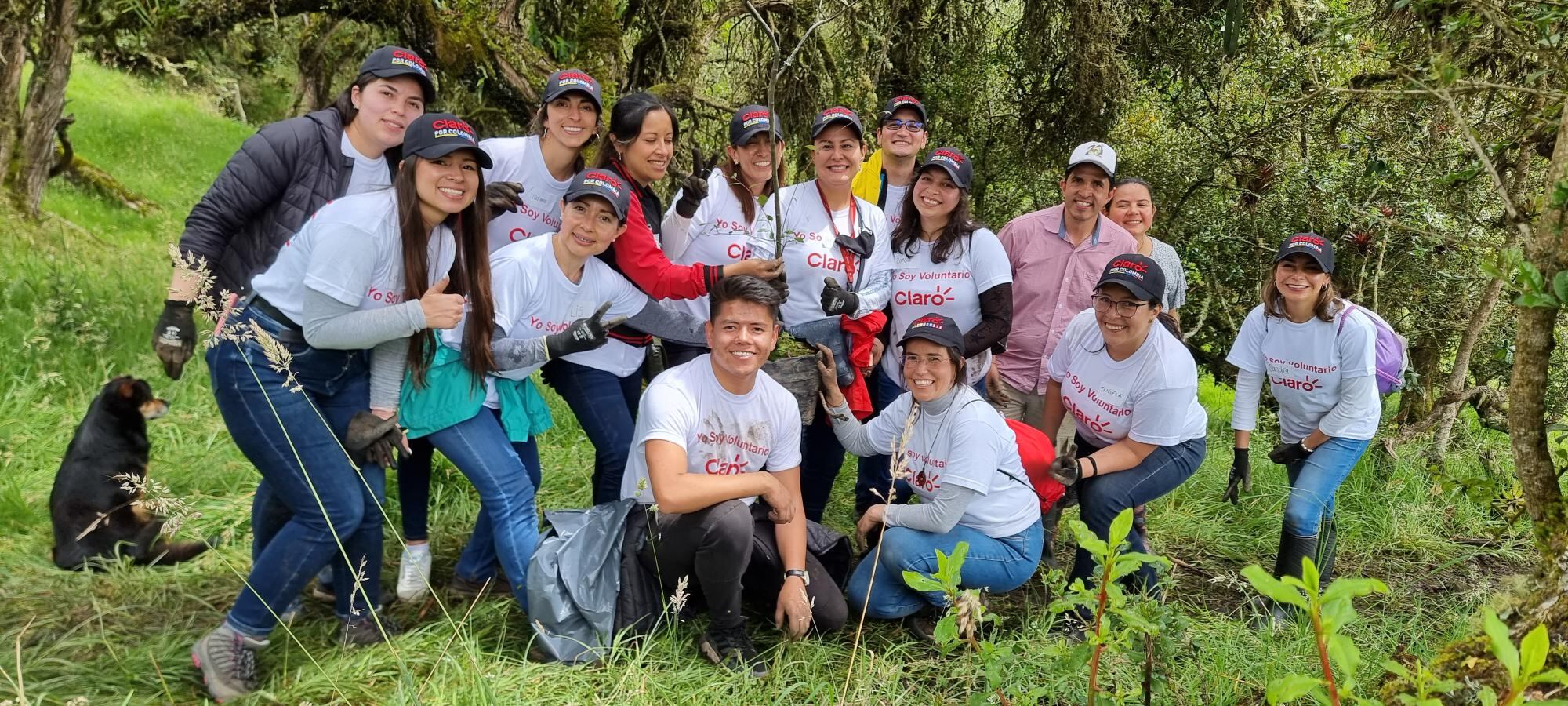 La compañía lidera acciones que contribuyen al cuidado del medio ambiente.