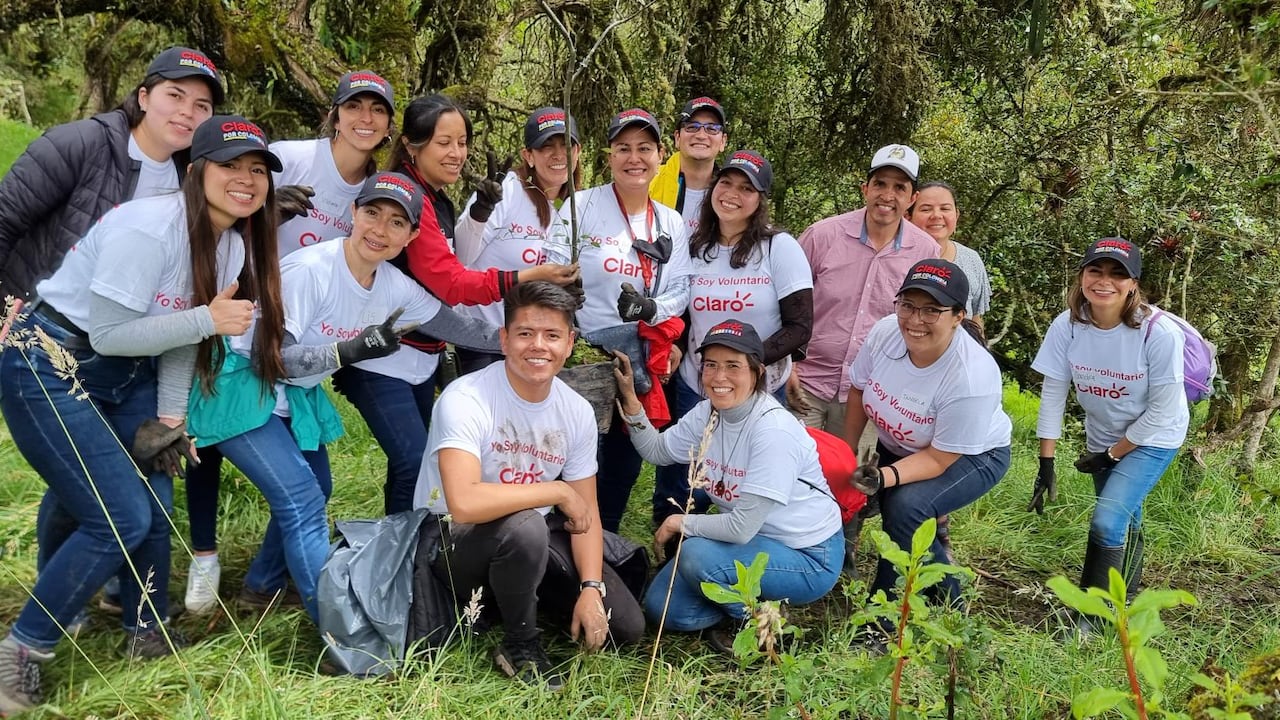 La compañía lidera acciones que contribuyen al cuidado del medio ambiente.