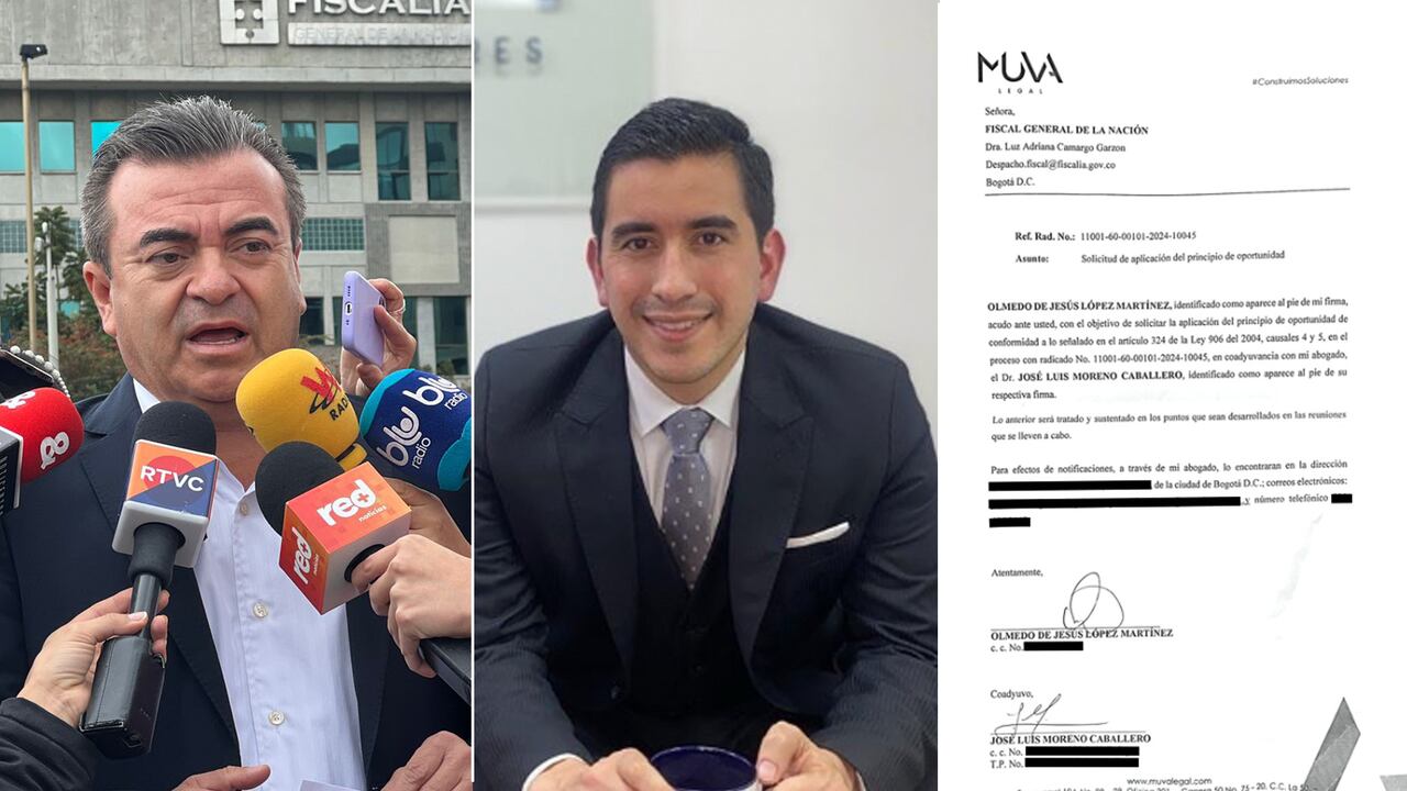 Olmedo López, José Luis Moreno, Documento