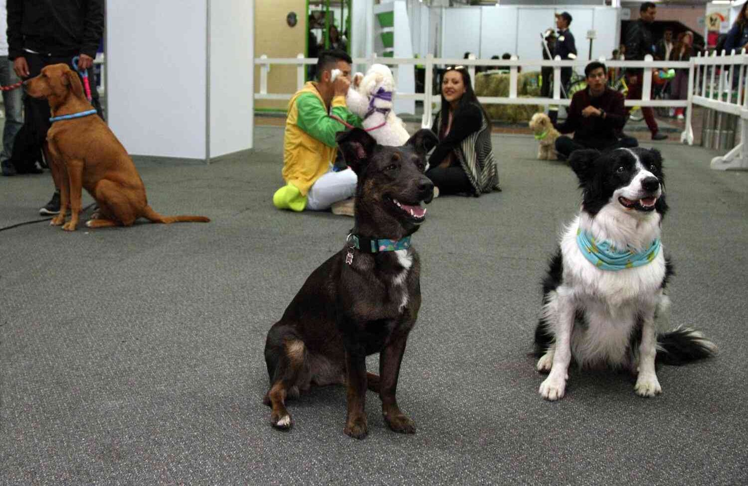 Foto: León Darío Peláez / SEMANA 