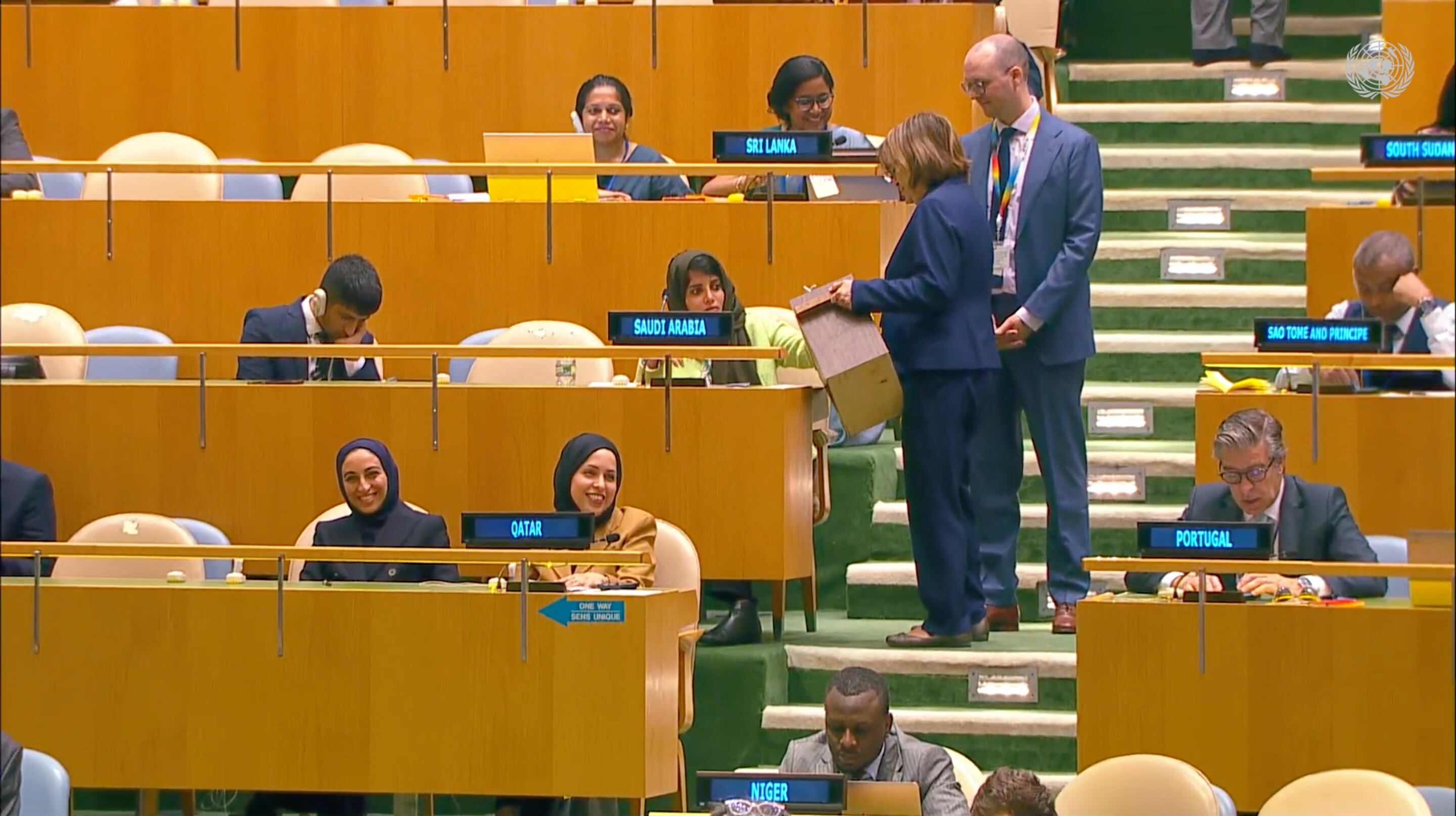 Consejo de Seguridad de la ONU.