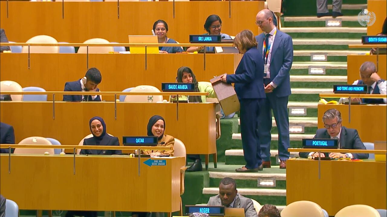 Consejo de Seguridad de la ONU.