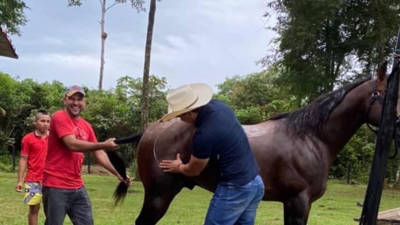 El caballo que está dispuesto a ceder ante un reto el precandidato presidencial Alirio Barrera