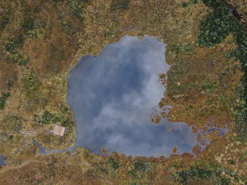 Históricamente, el Santuario ha estado expuesto a la ocurrencia de incendios forestales. Todos los años tenemos incendios de diferente magnitud.