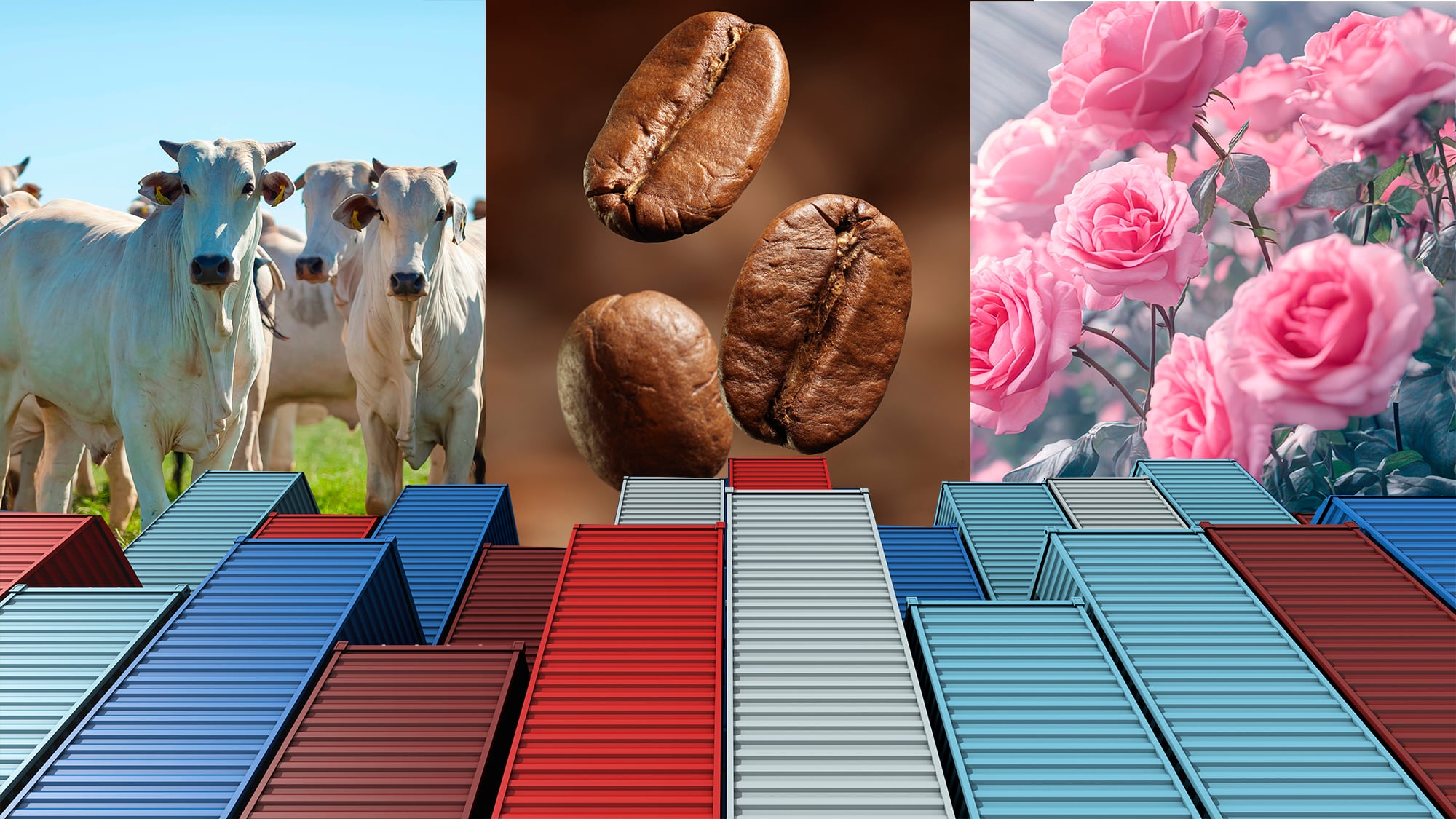 exportaciones café, ganadería y flores,