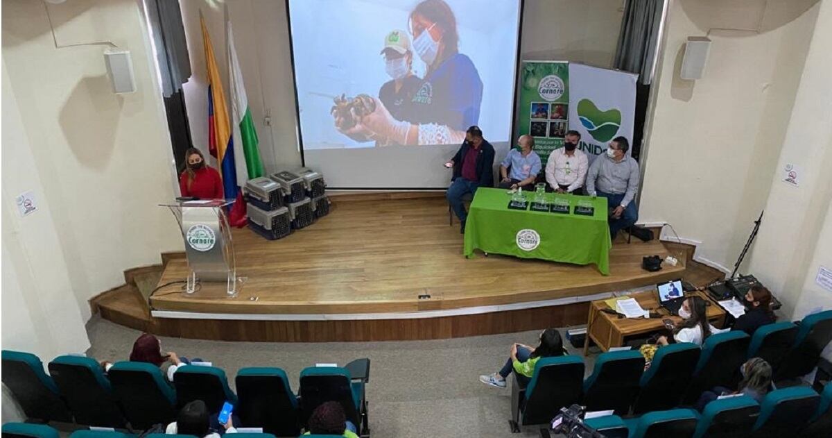 Recuperación de fauna silvestre en Antioquia