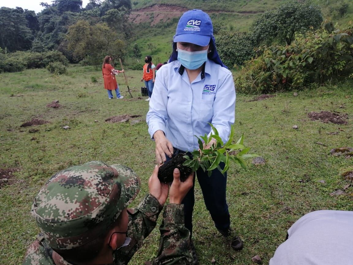 Siembra de árboles en Pradera, Valle del Cauca.