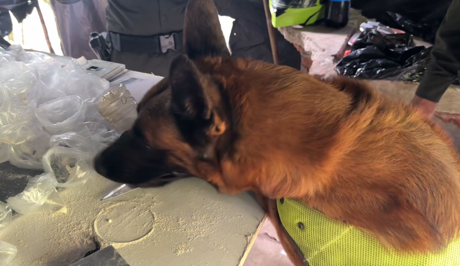 La sustancia estaba avaluada en 250 millones de pesos.