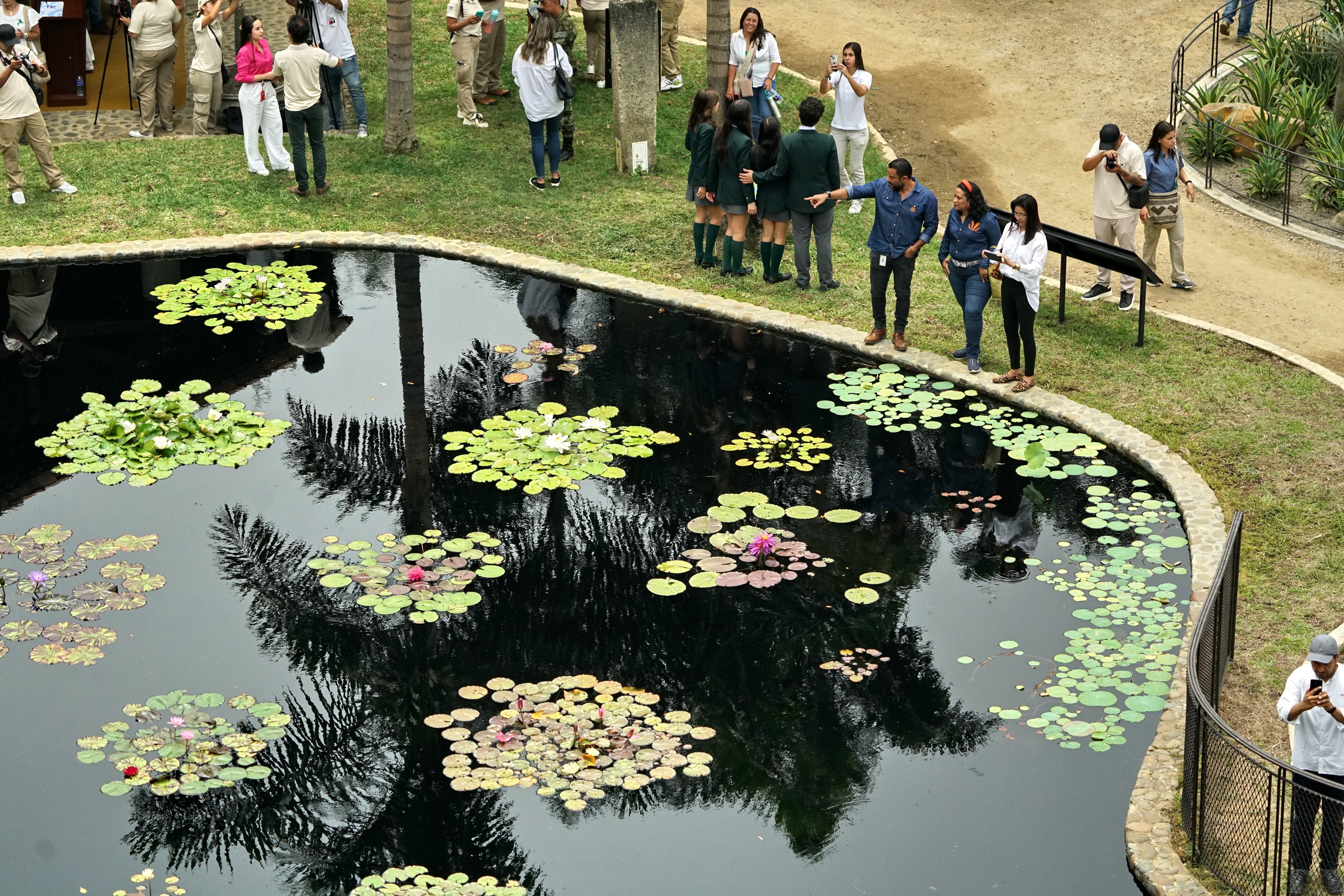Jardín Botánico quiere un pabellón de orquídeas. En una Gala Tropical el jueves 22 de mayo, en la Hacienda del Bosque, se  recogerán  fondos para la obra. Foto Jorge Orozco / El País.