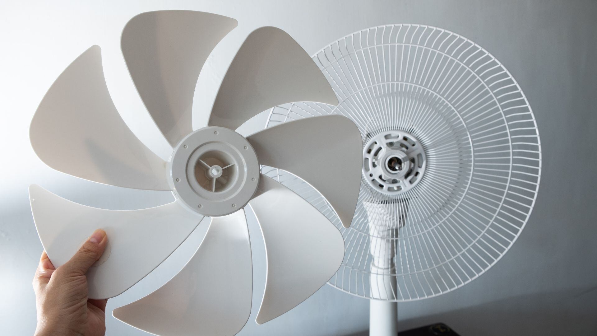 Los especialistas en mantenimiento doméstico recomiendan realizar una limpieza profunda del ventilador.