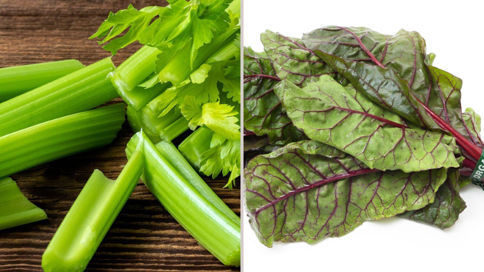 El apio y la acelga son recomendadas para bajar los niveles de azúcar en la sangr
