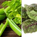 El apio y la acelga son recomendadas para bajar los niveles de azúcar en la sangre