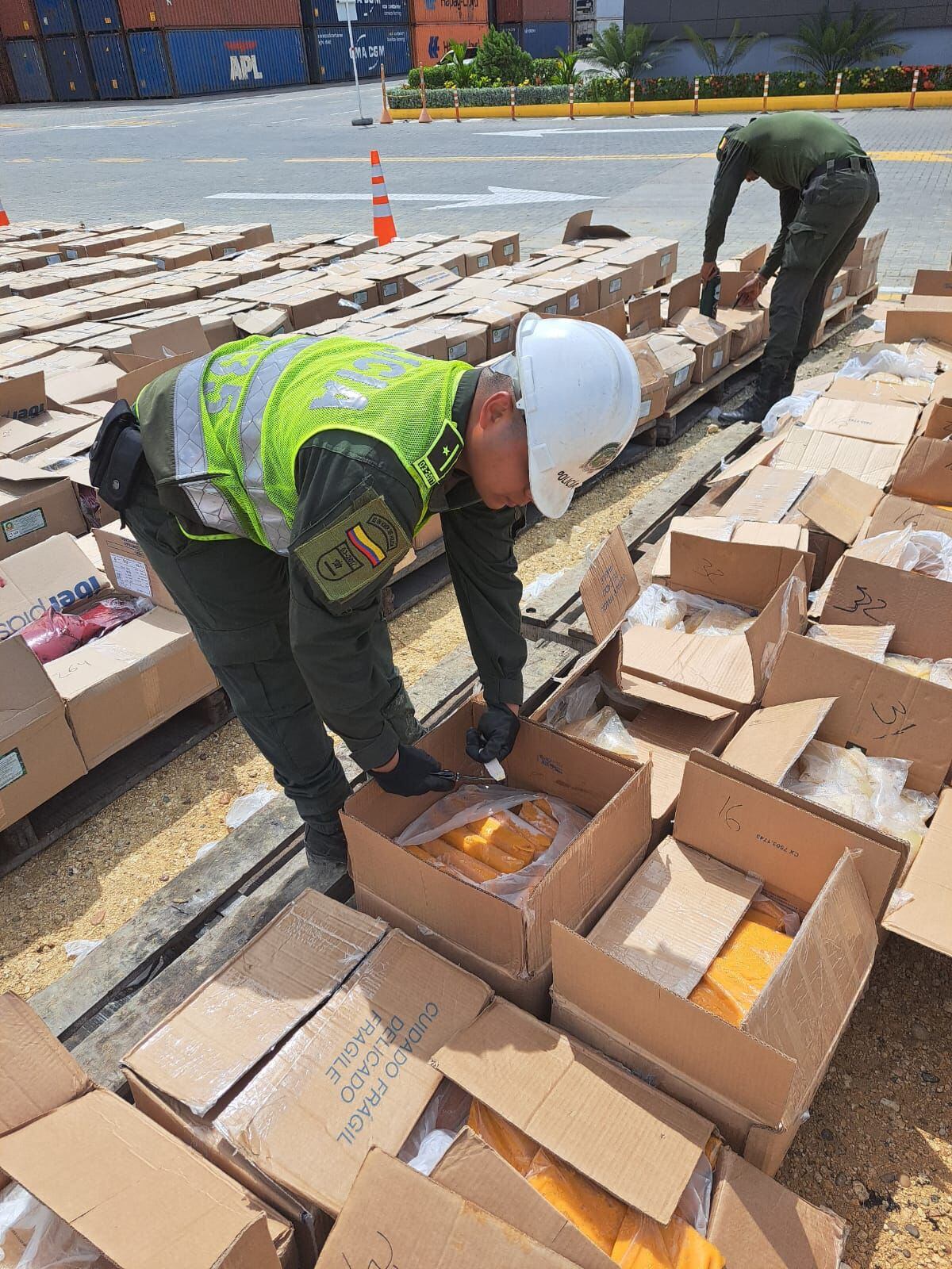 La droga estaba oculta en pulpas de frutas.