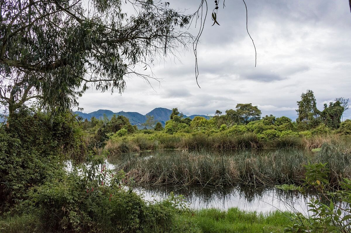 Humedales de Bogotá