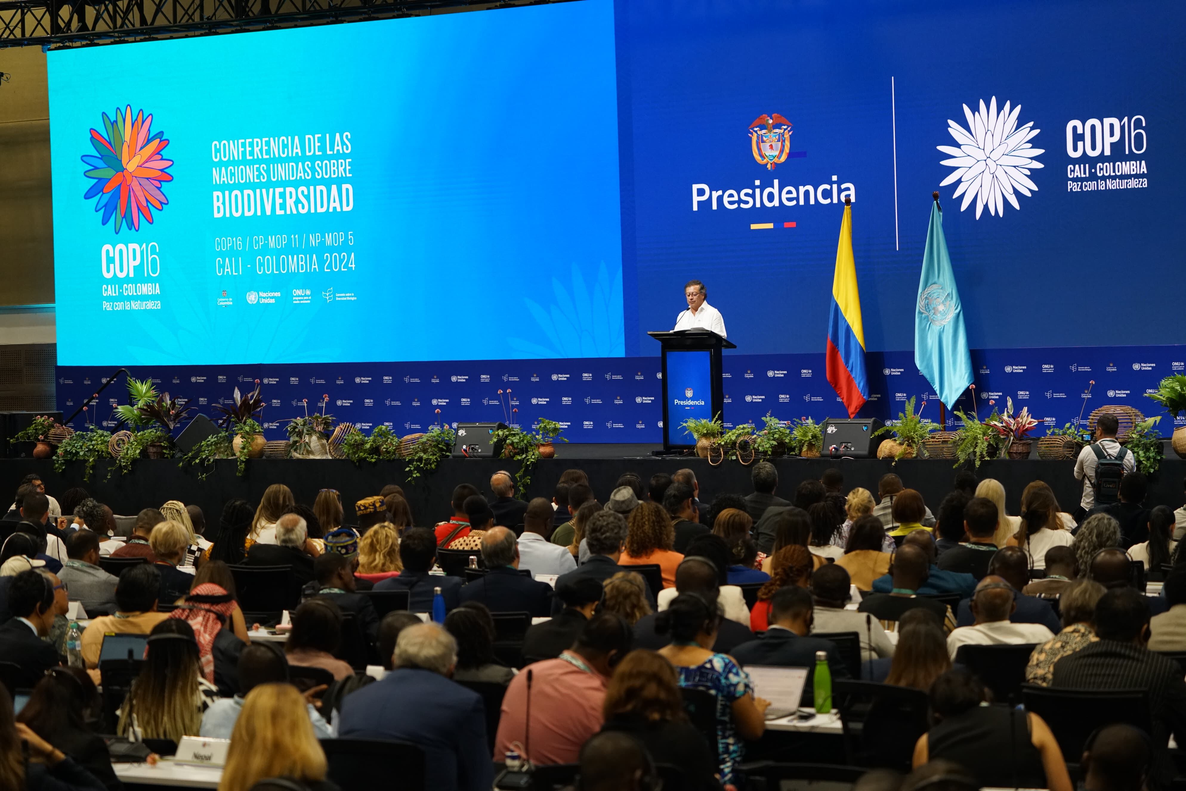 Instalación de la Cop 16.