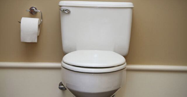 Lo que ocurre detrás de la puerta del baño de mujeres ha sido uno de los secretos mejor guardados.