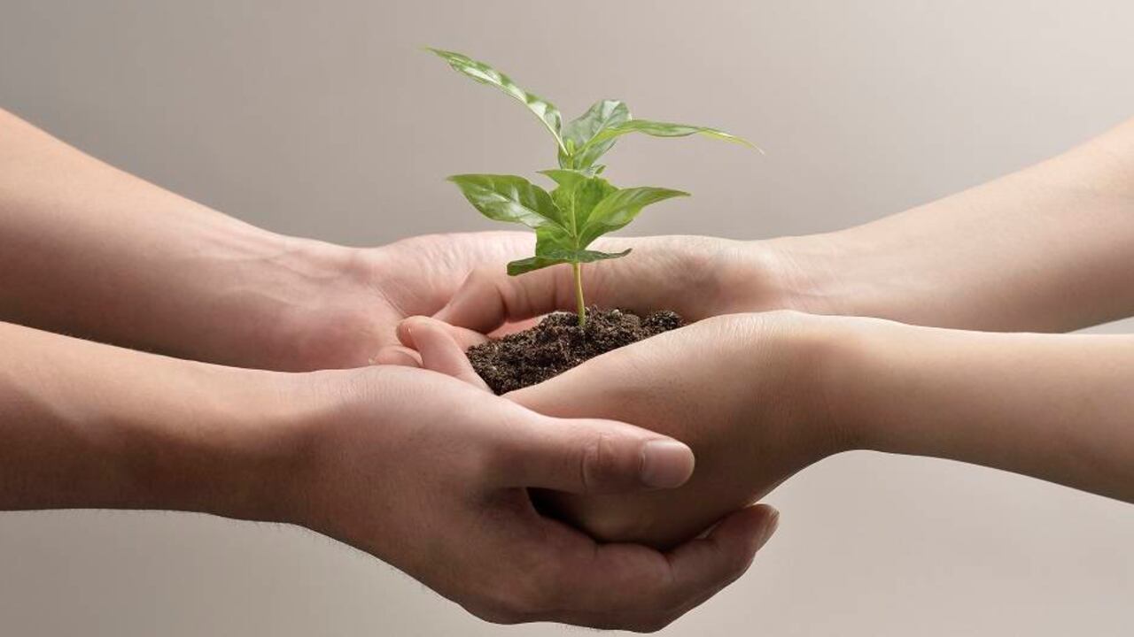 Aún no existen definiciones sólidas sobre lo que cuenta como una “inversión ASG o responsable”, lo que permite que muchos aprovechen la situación para etiquetar proyectos falsamente de esta forma.