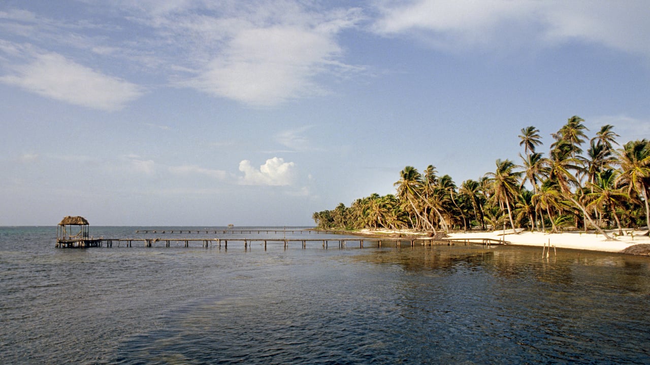 Una playa vacía en un resort de playa con cocoteros en Cayo Ambergris en el Caribe de Belice. Foto de Buddy Mays/Getty Images)