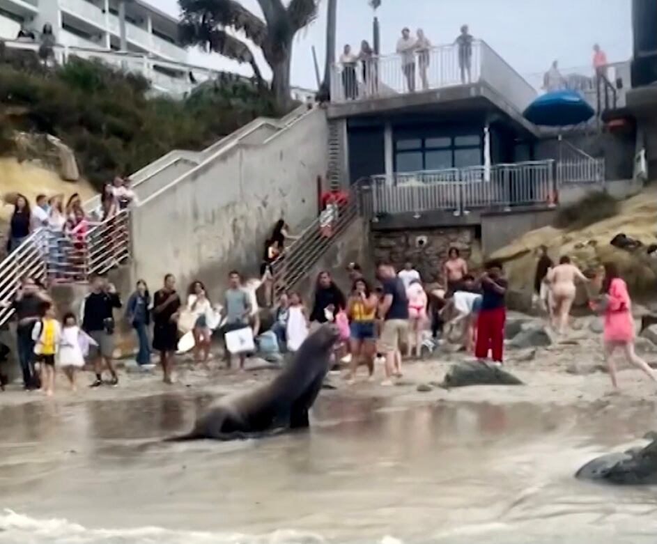 Foto: Captura de pantalla video Japhet Pérez Estrada.