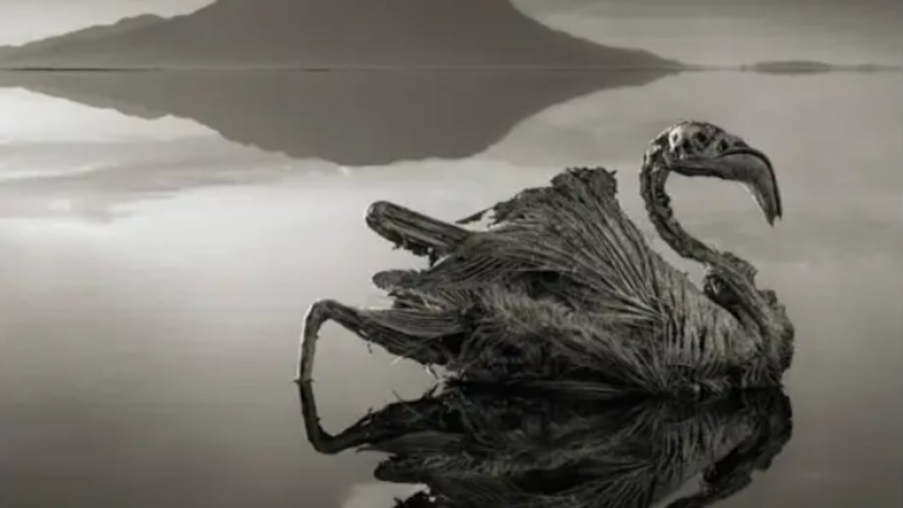 Lago Natrón en Tanzania