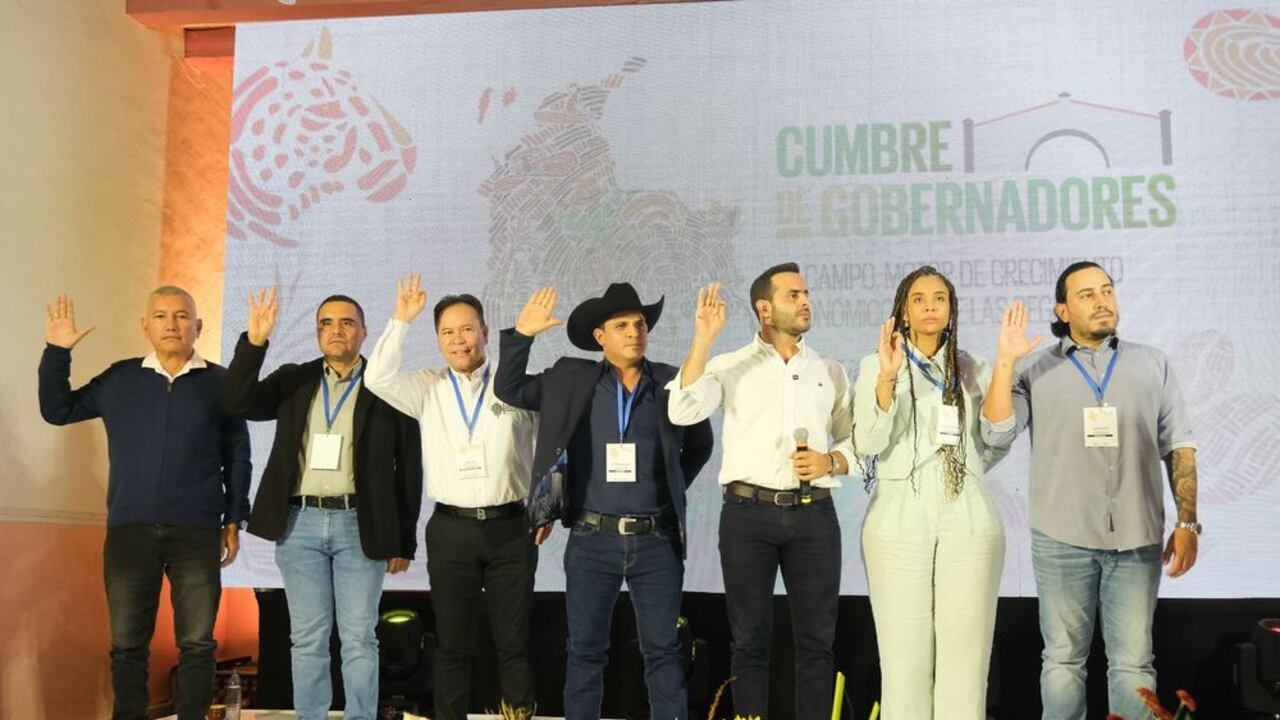 Los gobernadores del país hicieron el llamado.