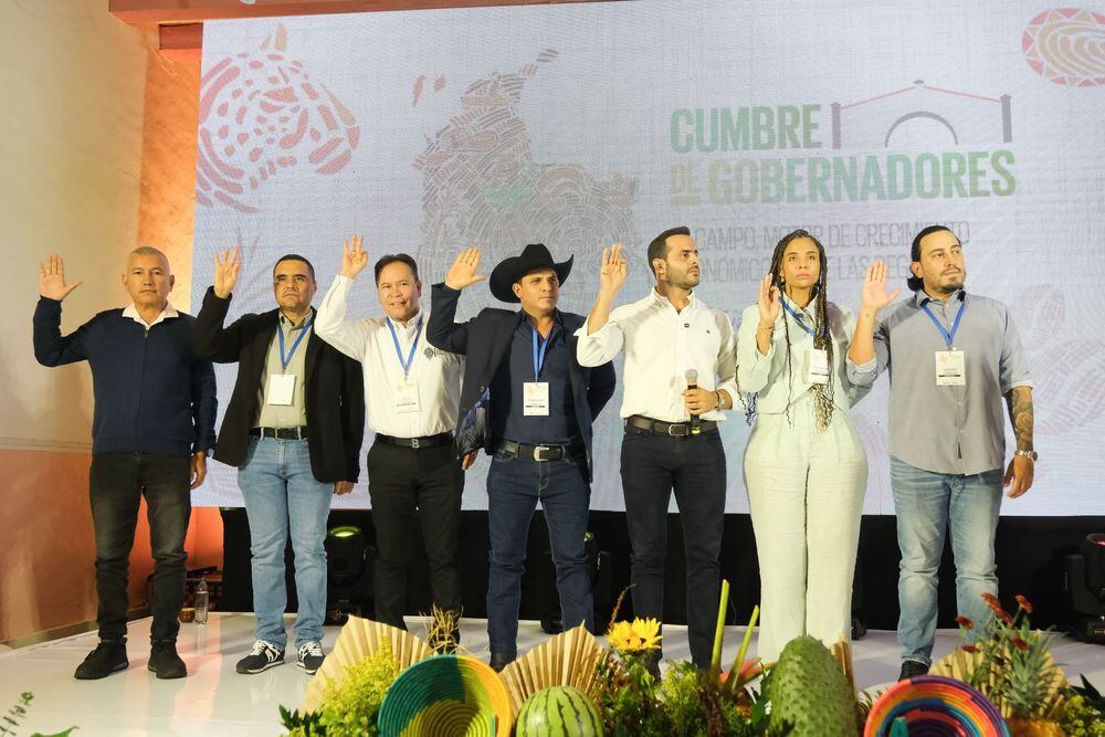 Los gobernadores del país hicieron el llamado.