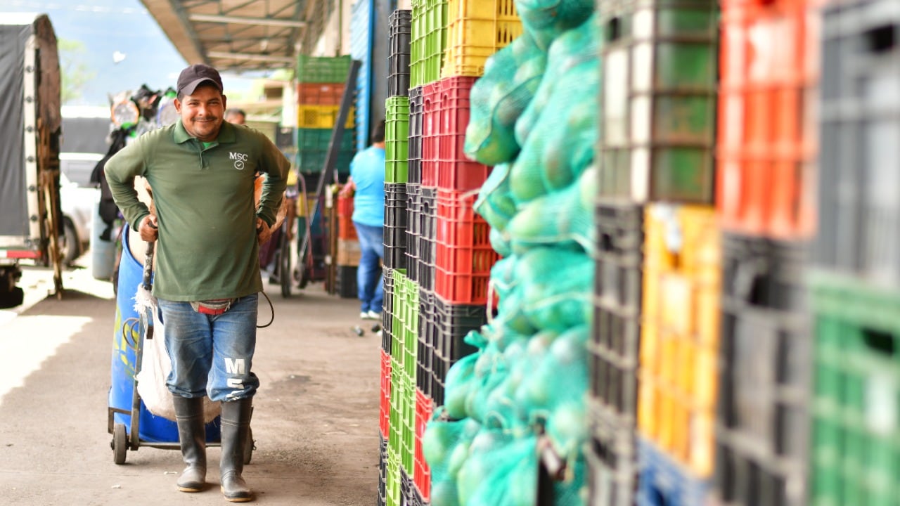 La central de Abastos es una de las más grandes y concurridas del país. Estos son los precios de la arracacha en ese establecimiento.
