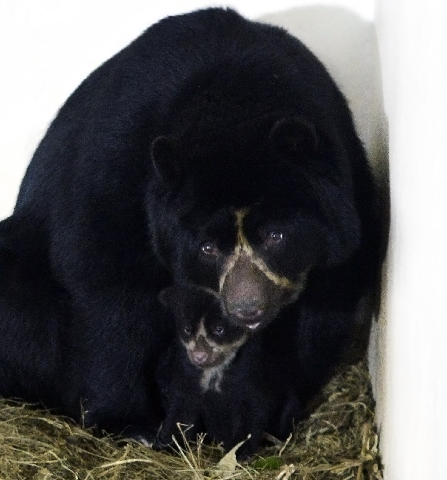 Parque de la Conservación