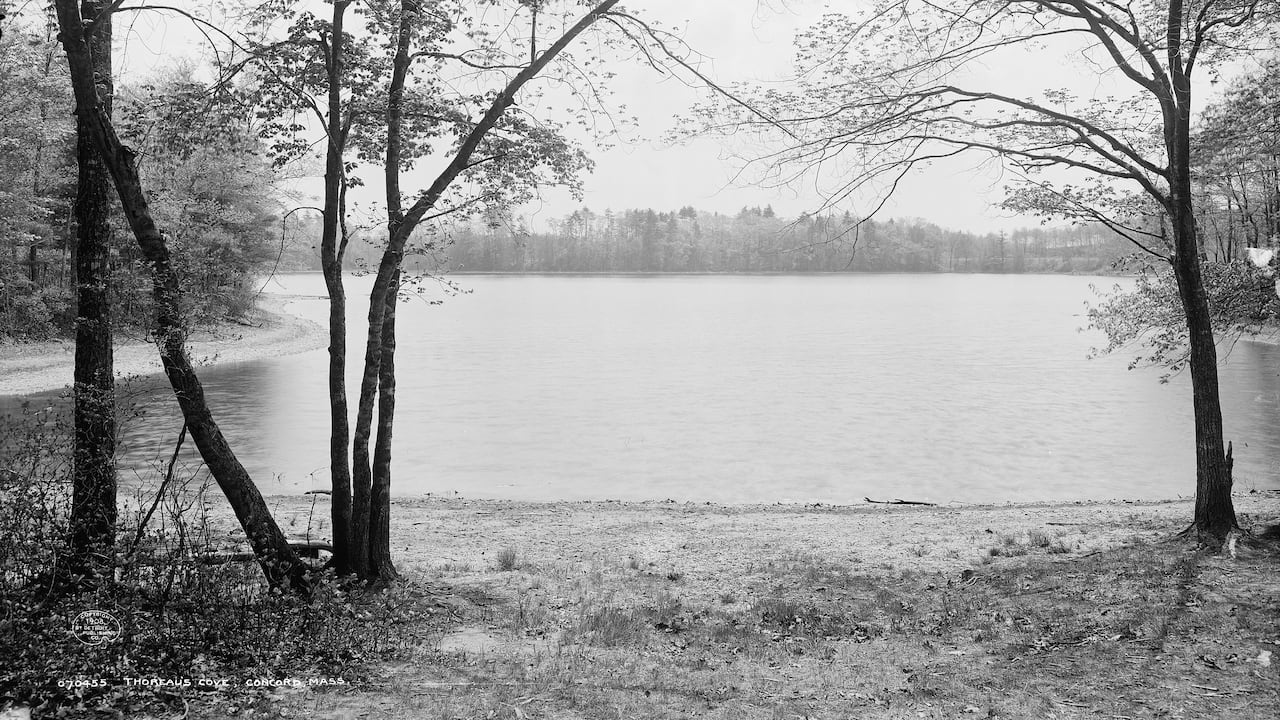 Vista de la laguna Walden, en Massachusetts, Estados Unidos. Wikimedia Commons