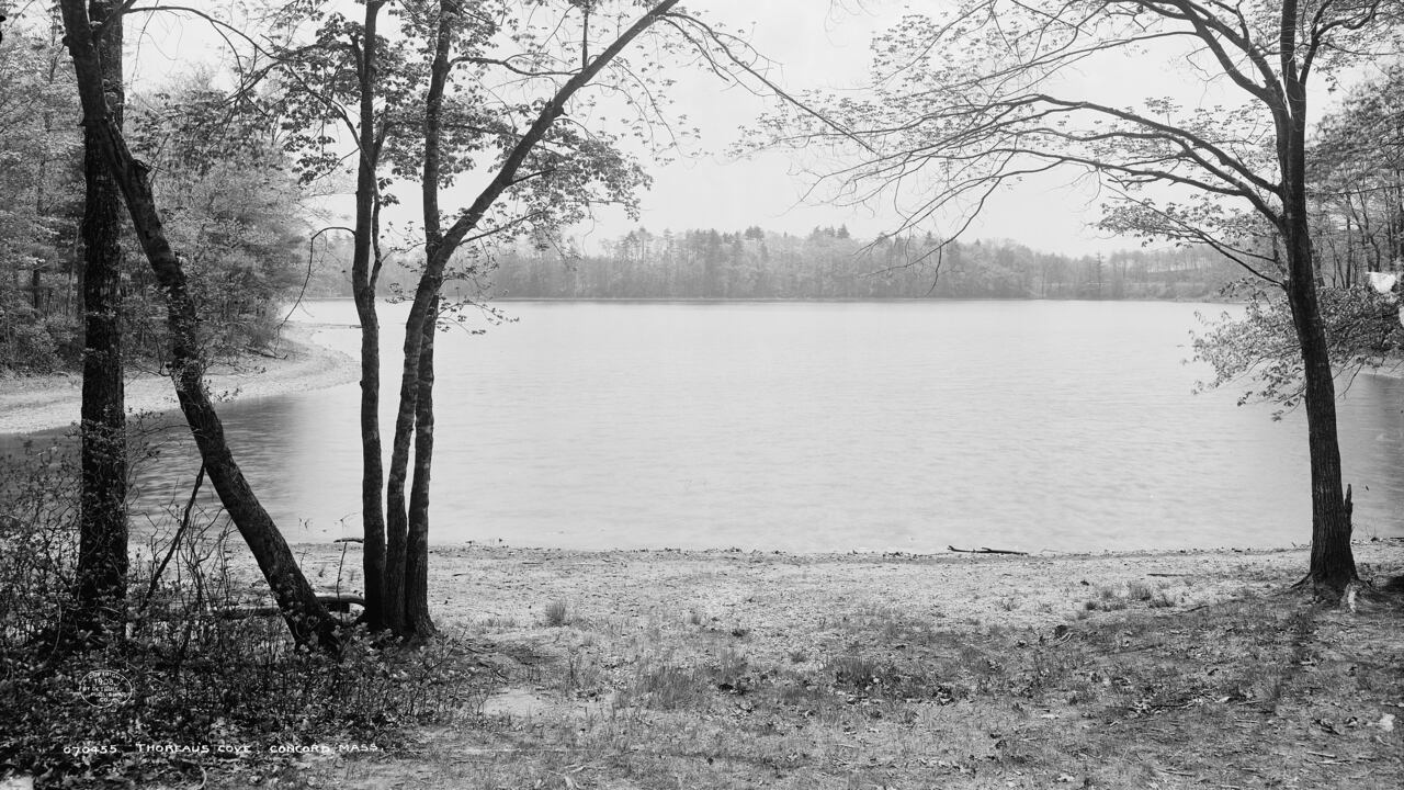 Vista de la laguna Walden, en Massachusetts, Estados Unidos. Wikimedia Commons