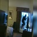 Onjre Damon George intentó escapar de la policía , pero no pudo romper el vidrio de la ventana. Foto Twitter @jungletografia.