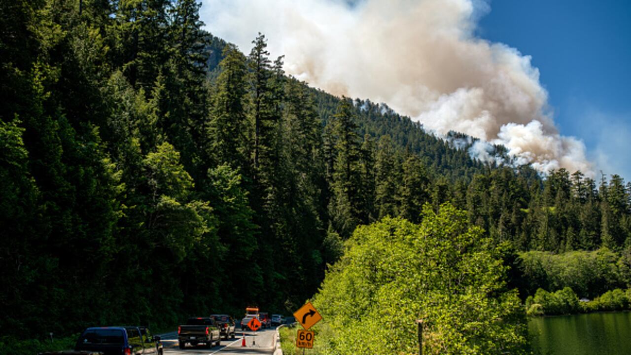 Varios países europeos confirmaron que irán a Canadá para ayudar a apagar los incendios.