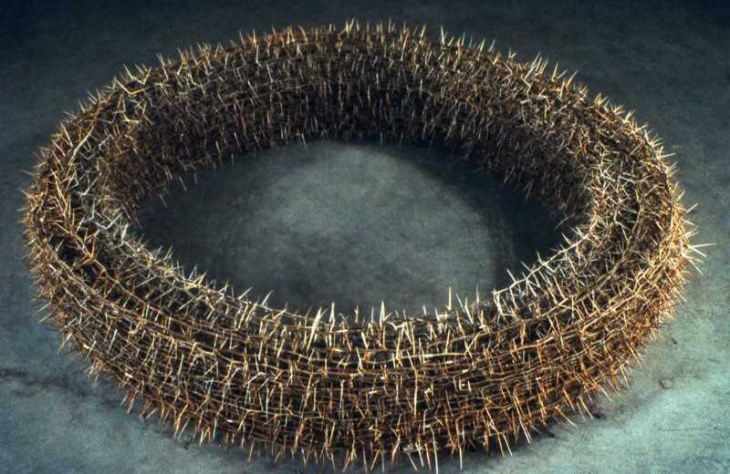 Sin título (Corona de espinas). Foto : cortesía Museo de Arte Universidad Nacional.