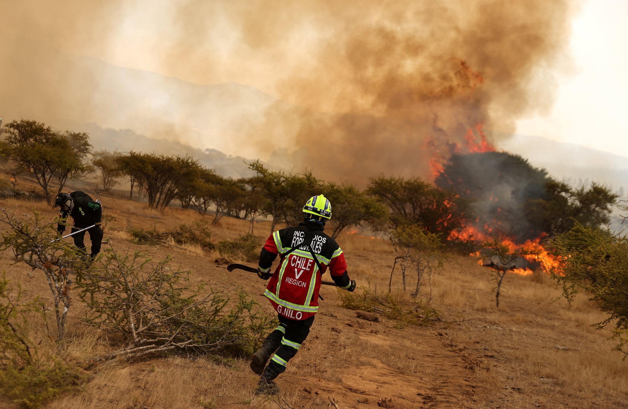 En imágenes : Chile lucha contra los incendios forestales más mortíferos registrados.