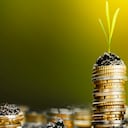 Moneda de euro en el suelo que crece en pilas con luz cálida de verano y una pequeña planta en la parte superior