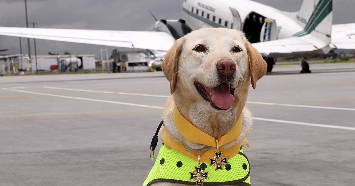 Foto: Archivo SEMANA