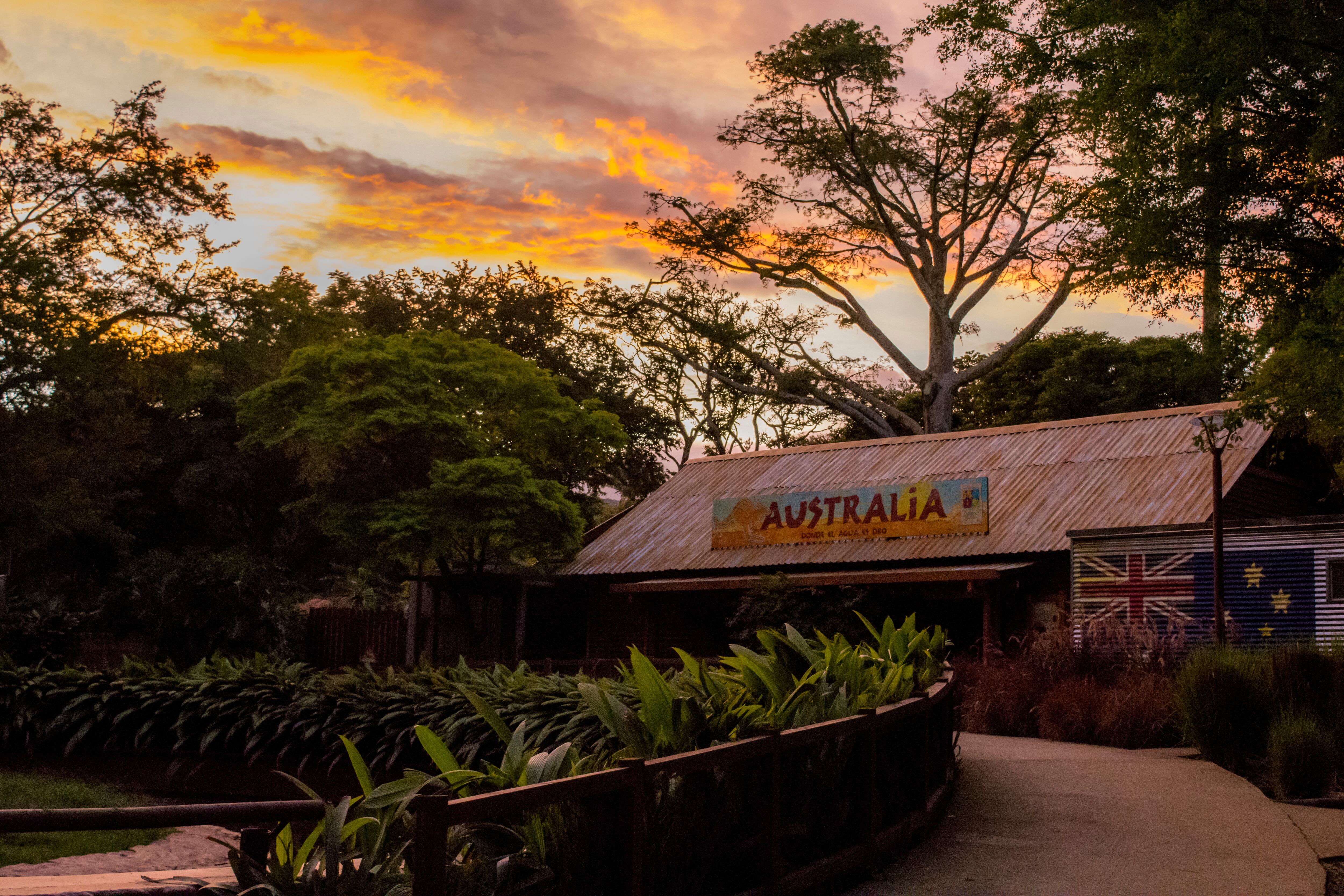 Especial Cali y Valle del Cauca, Editorial COP 16