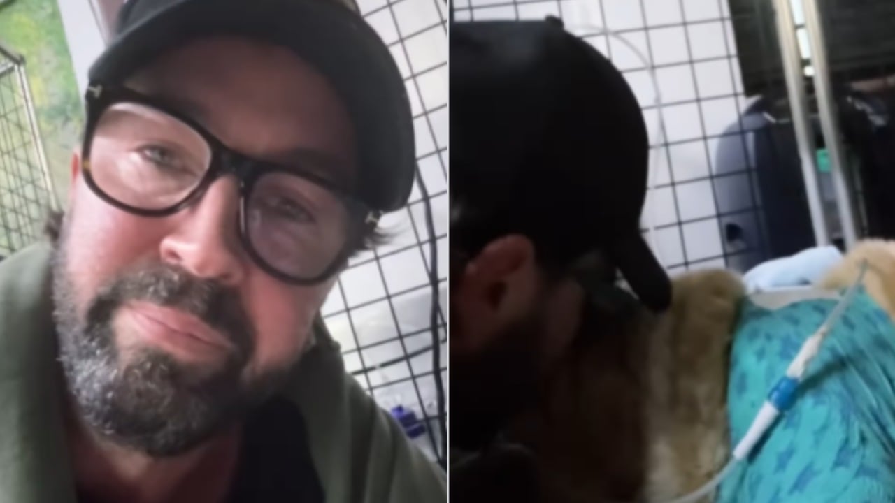 Lucas Arnau perdió a su mascota