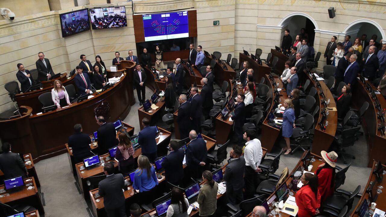 Plenaria del Senado de la República.