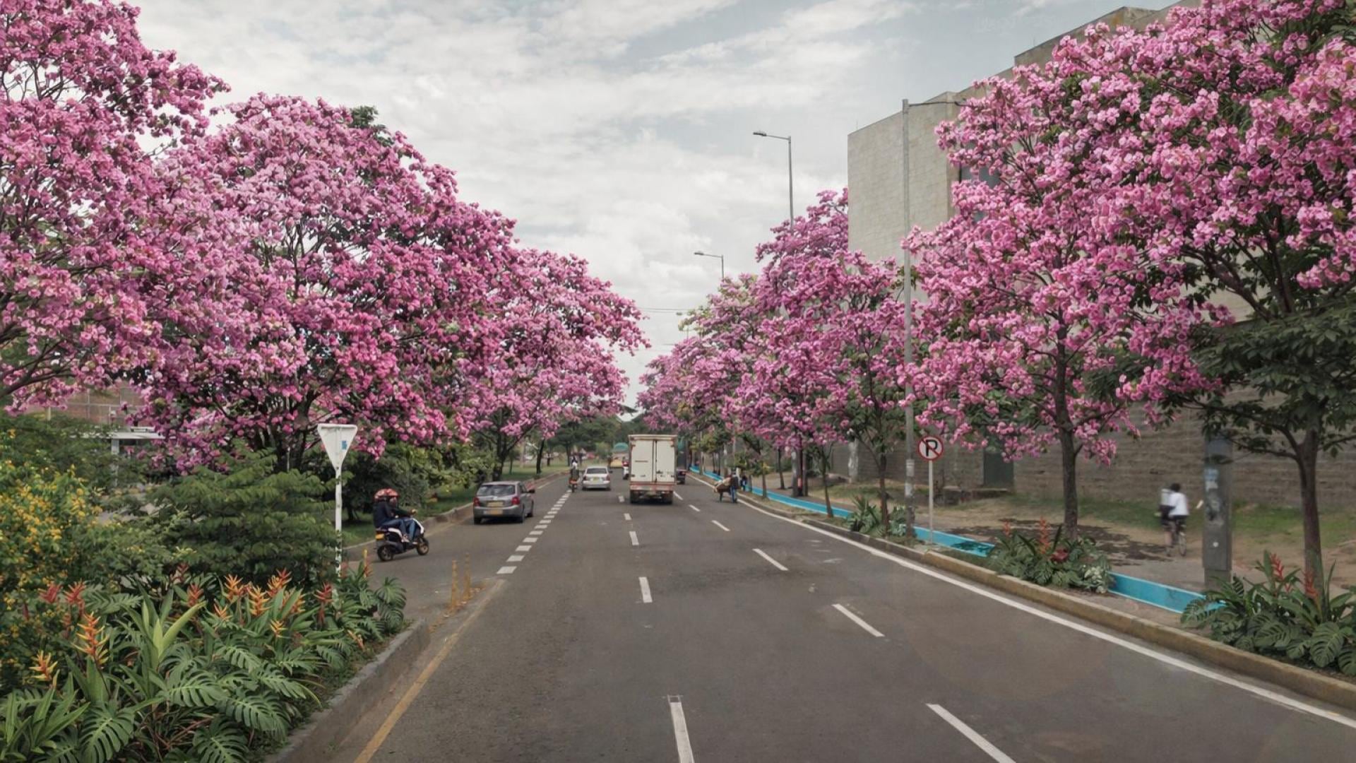 Render de la Avenida Ciudad de Cali