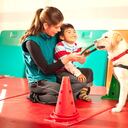 Los niños obtienen grandes beneficios de las terapias con animales.
