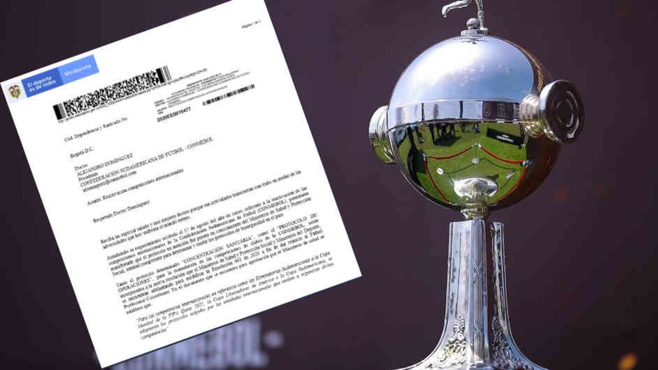 Luz verde del Gobierno para reanudar partidos de la Libertadores y Sudamericana