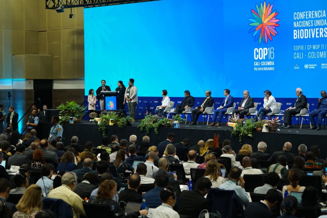 Jóvenes y niños hacen su intervención durante la instalación de la sesión plenaria de alto nivel de la COP16 . Foto Jorge Orozco/El País