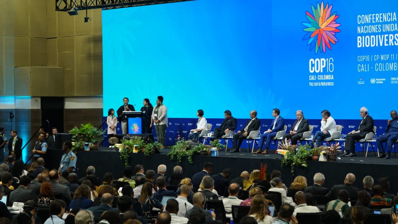 Jóvenes y niños hacen su intervención durante la instalación de la sesión plenaria de alto nivel de la COP16 . Foto Jorge Orozco/El País